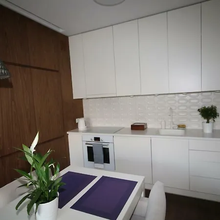 Przytulny Apartament Centrum Apartment